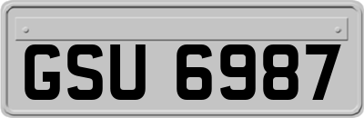 GSU6987