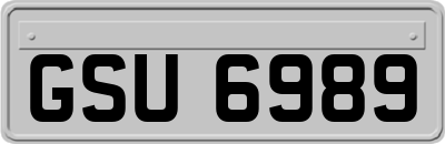 GSU6989