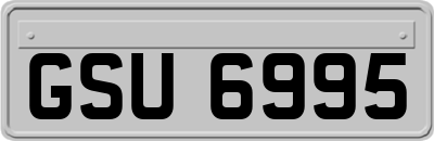 GSU6995