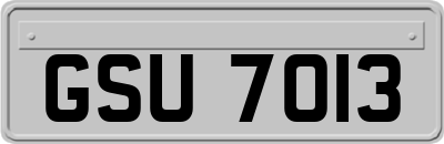 GSU7013