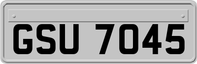 GSU7045