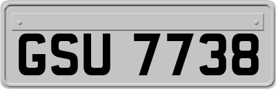 GSU7738