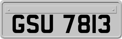 GSU7813