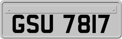 GSU7817