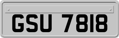 GSU7818