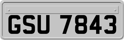 GSU7843