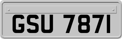 GSU7871
