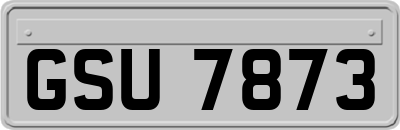 GSU7873