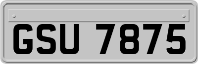 GSU7875