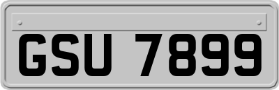 GSU7899