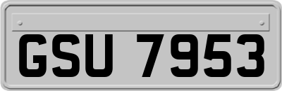 GSU7953