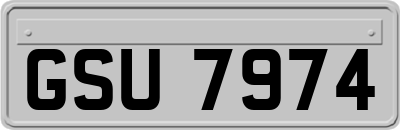 GSU7974
