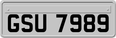 GSU7989