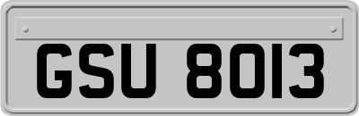 GSU8013