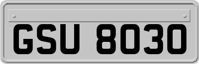 GSU8030