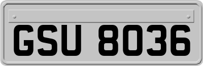 GSU8036