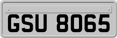 GSU8065