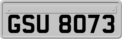 GSU8073