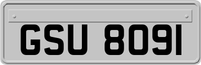 GSU8091