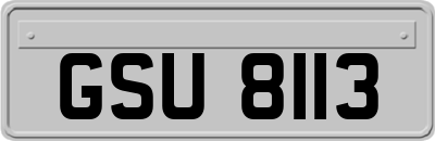 GSU8113