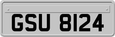 GSU8124