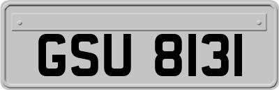 GSU8131