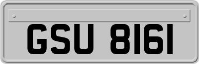 GSU8161