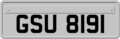 GSU8191