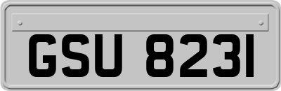 GSU8231