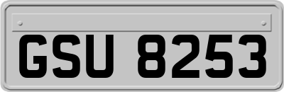 GSU8253