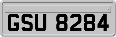 GSU8284