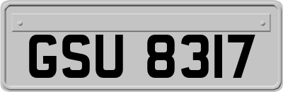 GSU8317