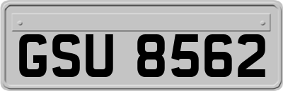 GSU8562