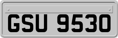 GSU9530