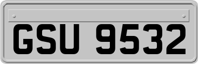 GSU9532