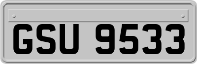 GSU9533
