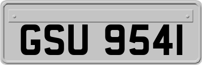 GSU9541