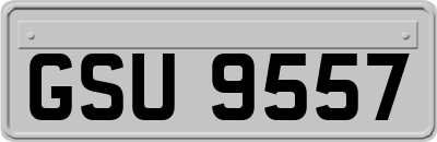GSU9557
