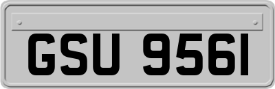 GSU9561