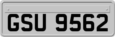 GSU9562