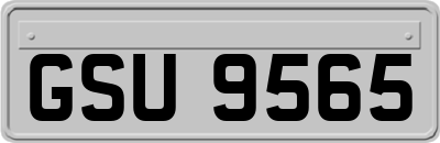 GSU9565