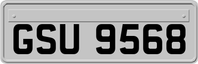 GSU9568