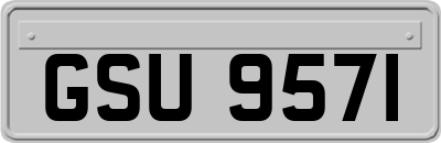 GSU9571