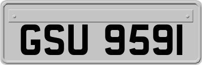 GSU9591