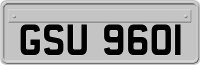 GSU9601