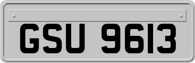GSU9613