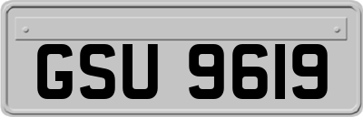 GSU9619
