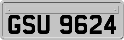 GSU9624