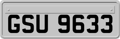GSU9633