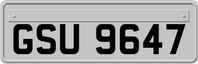 GSU9647
